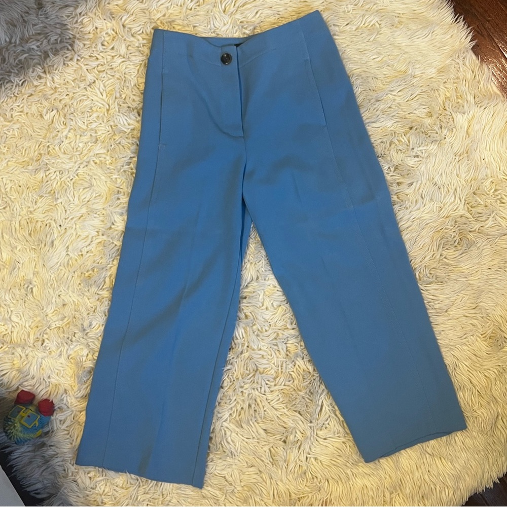 EUC Ann Taylor size 4 crop